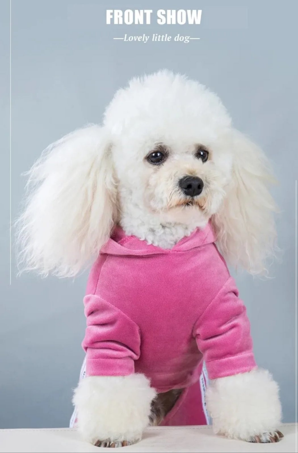 Velvet Tracksuit for dogs  Shopella   