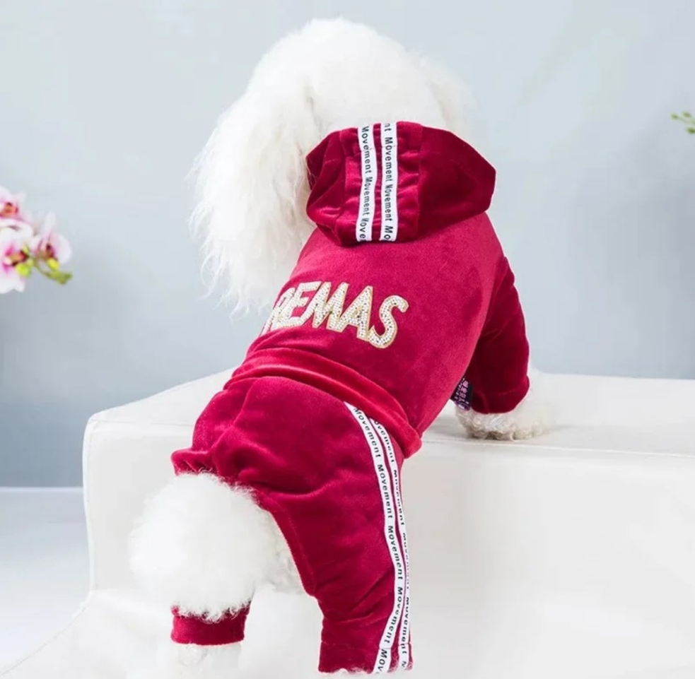 Velvet Tracksuit for dogs  Shopella   