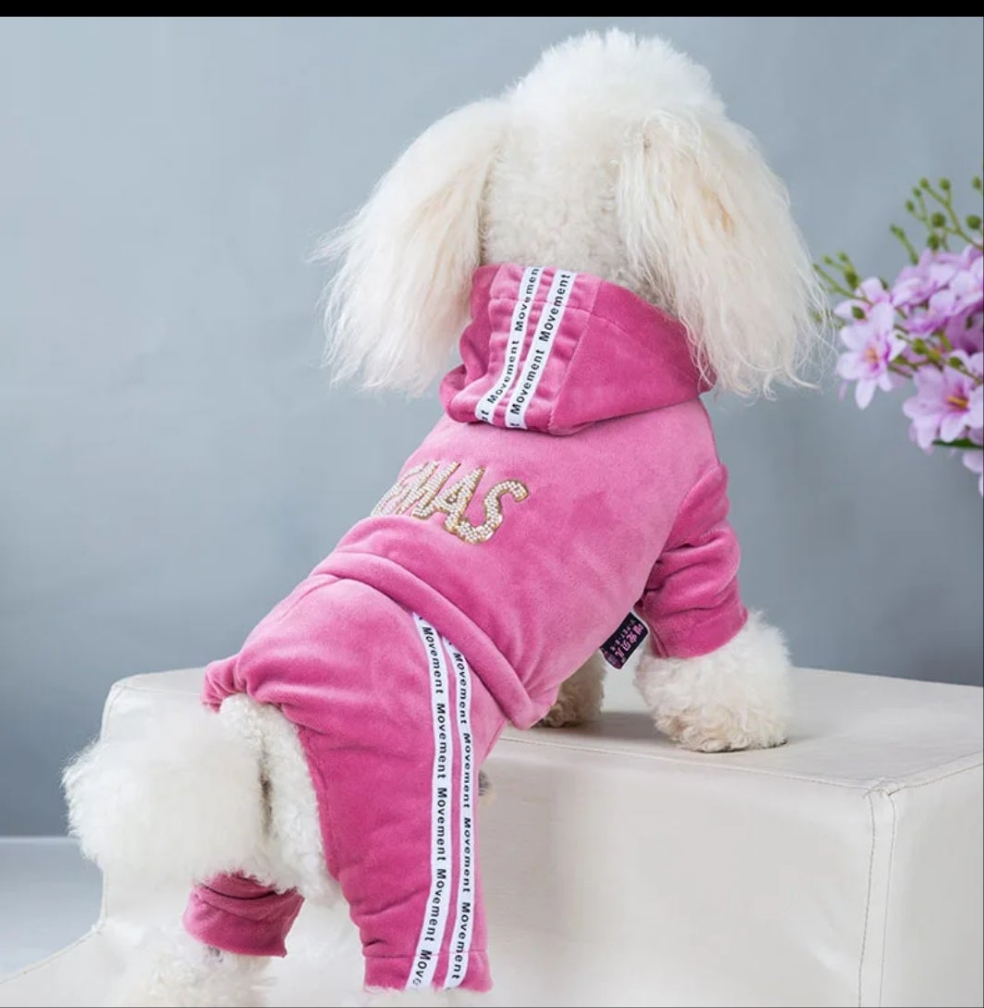 Velvet Tracksuit for dogs  Shopella   