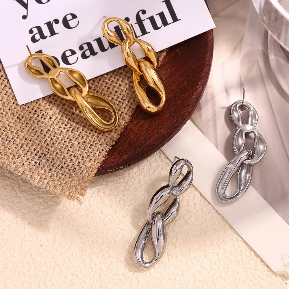 Golden Gleam Chain Earrings earrings Dropshipman