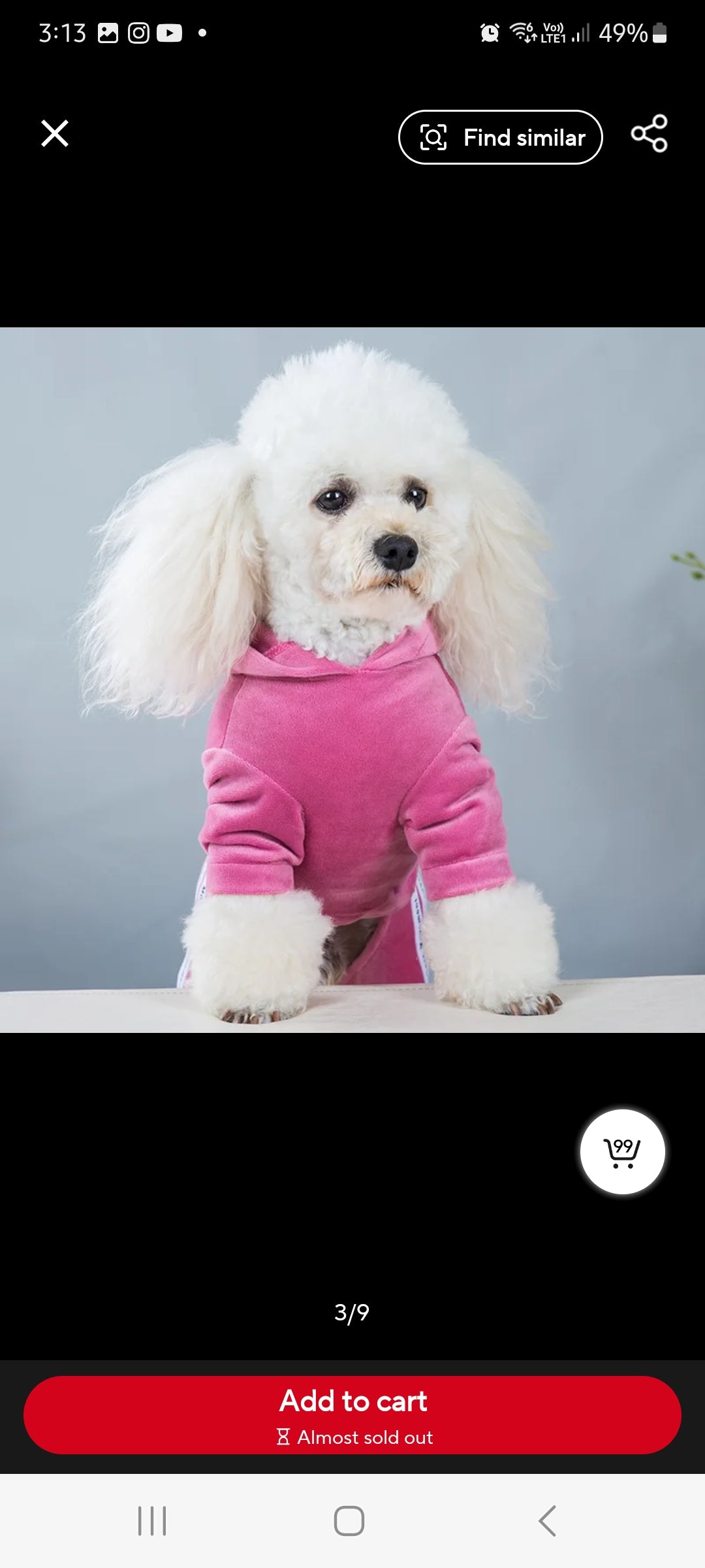 Velvet Tracksuit for dogs  Shopella   