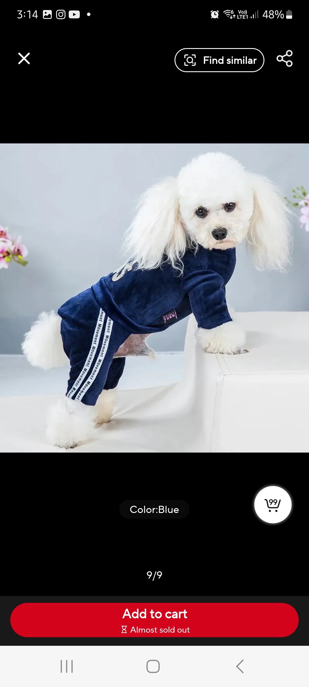 Velvet Tracksuit for dogs  Shopella   